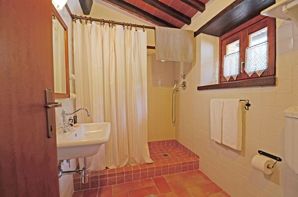 A bathroom with a sink, shower, and toilet. - Podere Terrena, Gaiole in Chianti, Siena and Chianti (Gaiole in Chianti)