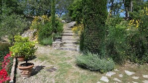 A garden pathway with potted plants and a stone staircase. - Il Poggetto a Vescinino, Radda in Chianti, Siena and Chianti (Radda in Chianti)