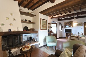 Fernseher, Kamin