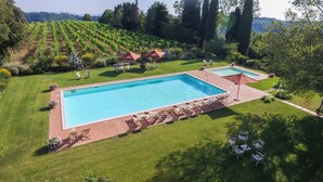 Una piscina rectangular grande con un patio circundante, sillas de descanso y vistas a un viñedo al fondo.