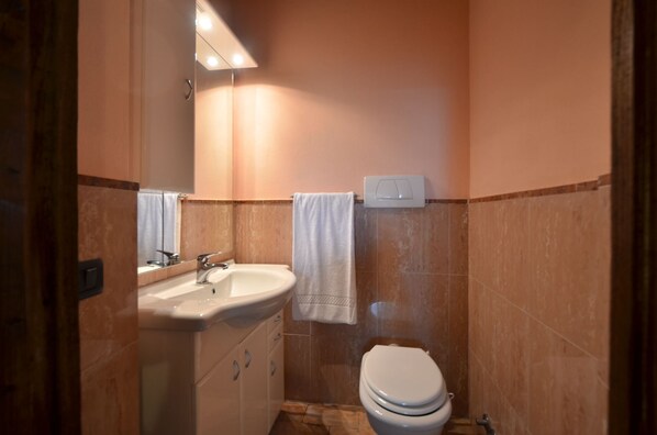 A bathroom with a sink, mirror, and toilet. - L'Elce, Casale Bellaluce, Orvieto, Orvieto in Umbria (Orvieto)