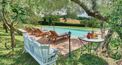 Il Passo Degli Ulivi, Civitella Paganico, Grosseto