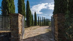 A stone pathway leading to a gated entrance with tall cypress trees on either side.