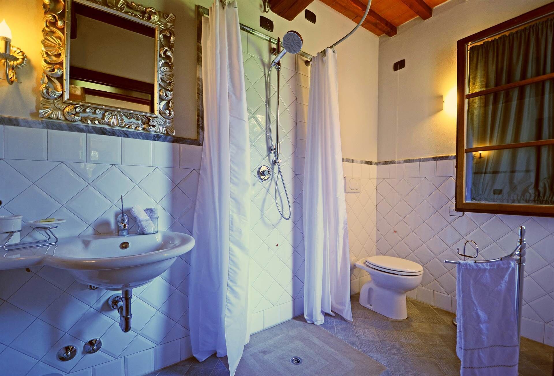 A bathroom with a sink, toilet, shower, and a mirror with an ornate frame.