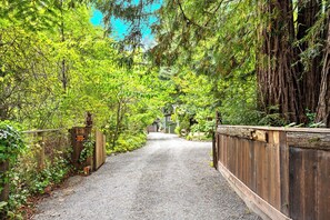 Property grounds - Getaway in the Forest, Surrounded by Peaceful Nature and Year-round Creek (Cazadero)
