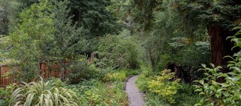 Getaway in the Forest, Surrounded by Peaceful Nature and Year-round Creek