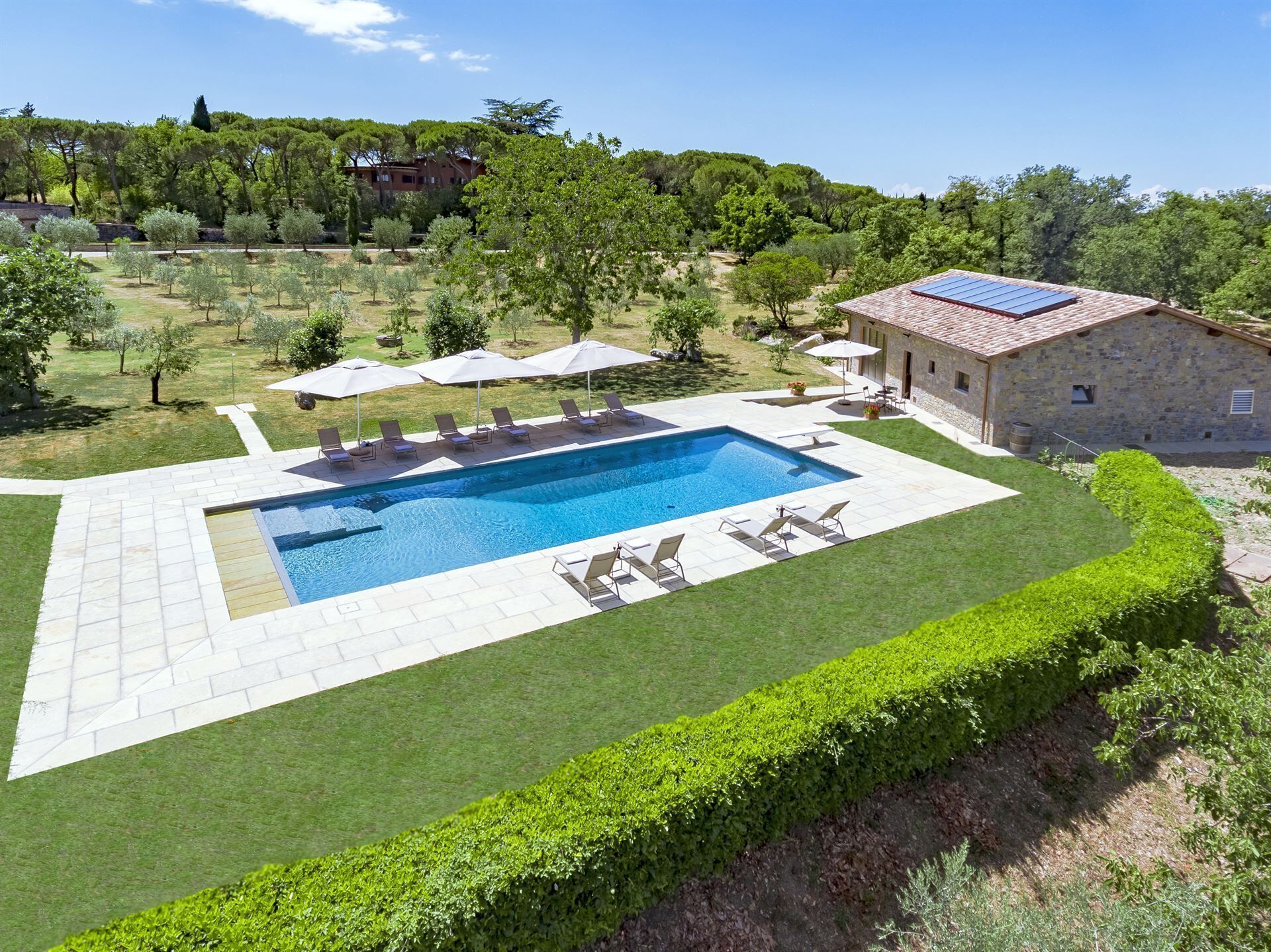 A rectangular swimming pool with a tiled deck, surrounded by a well-manicured lawn and a hedge.