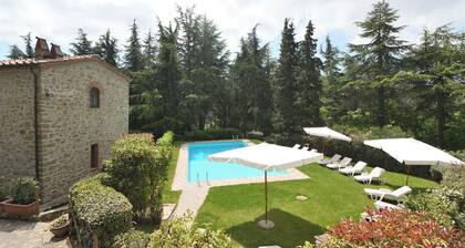 Timo, Castellare in Chianti, Gaiole in Chianti, Siena and Chianti