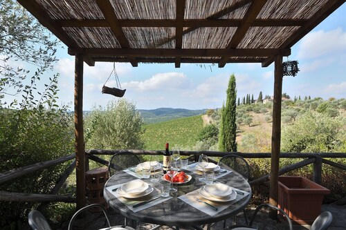 Bacco, Montefiorile, Gaiole in Chianti, Siena and Chianti