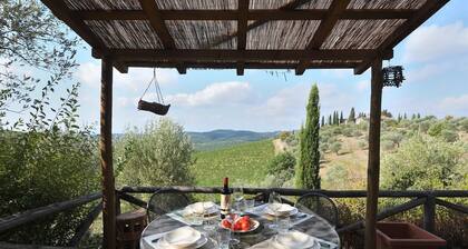 Bacco, Montefiorile, Gaiole in Chianti, Siena and Chianti