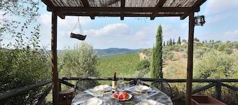 Bacco, Montefiorile, Gaiole in Chianti, Siena and Chianti
