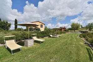 Property grounds - Girasoli, La Macchia, Peccioli, Pisa and Valdera (Peccioli)