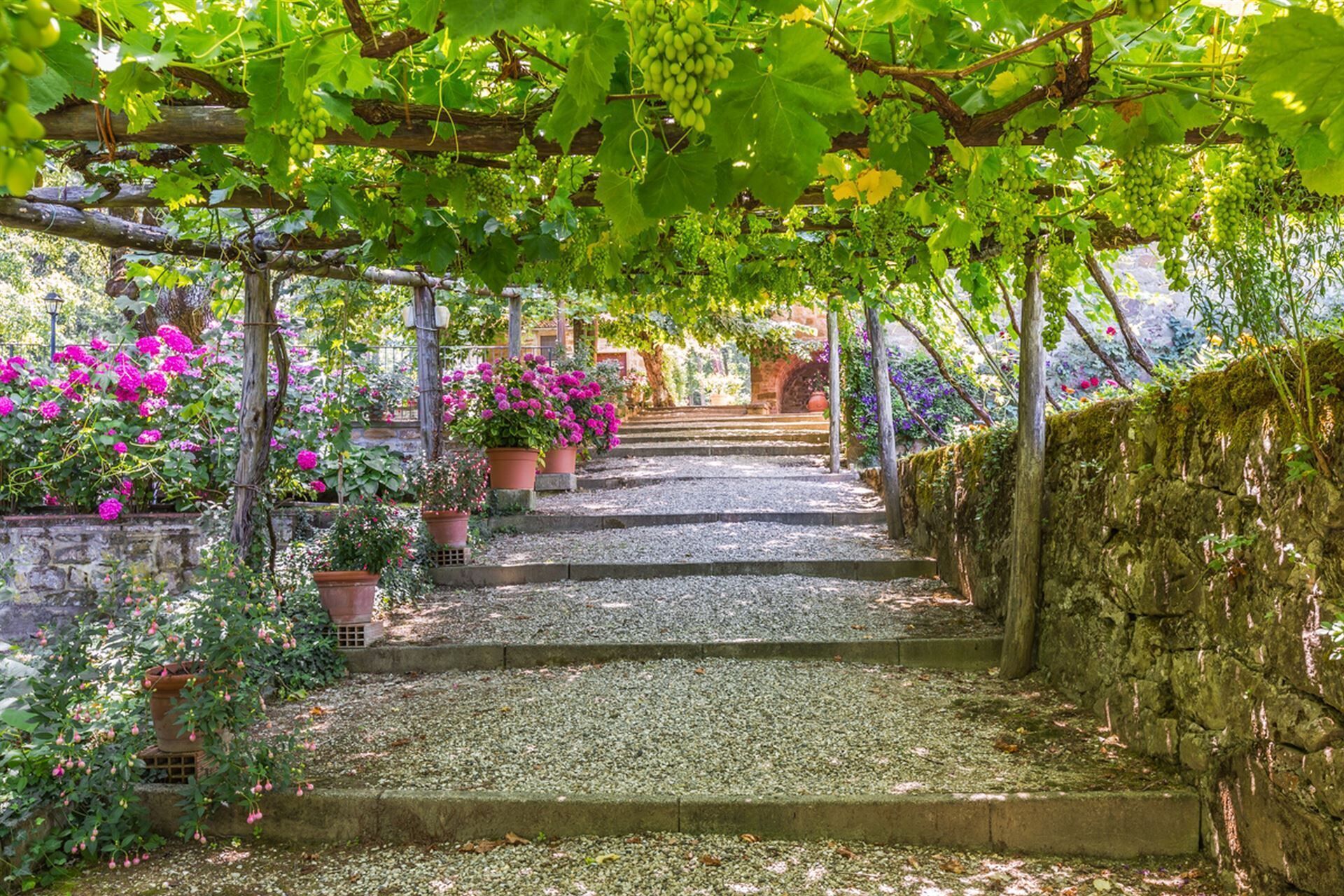 Parco della struttura