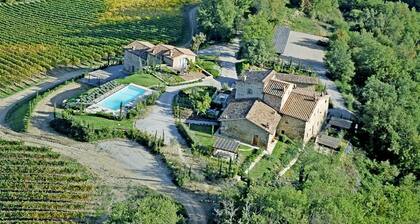 Malvasia, Vignale, Castelnuovo Berardenga, Siena and Chianti