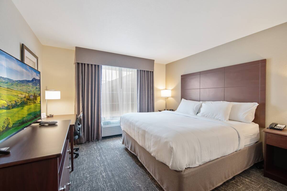 A hotel room with a large bed, a desk with a TV, a lamp, and a view of a landscape through the window.