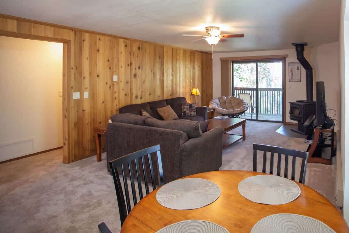 TV, fireplace, DVD player, video library