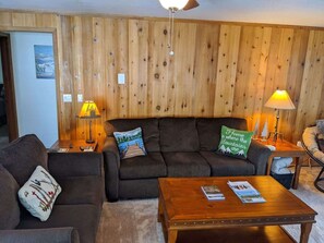 Fernseher, Kamin, DVD-Player, Videothek