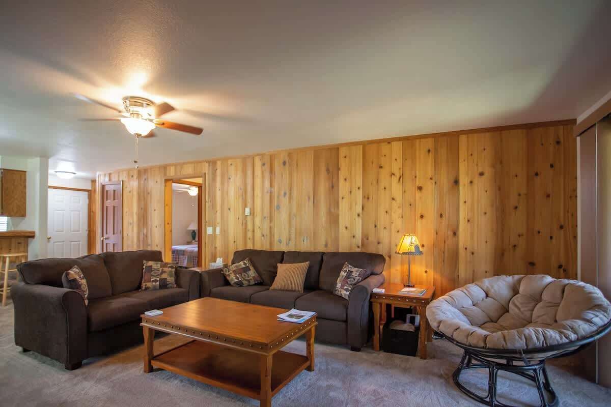 TV, fireplace, DVD player, video library
