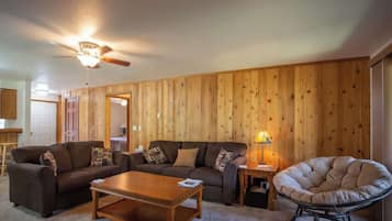 TV, fireplace, DVD player, video library