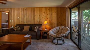 TV, fireplace, DVD player, video library