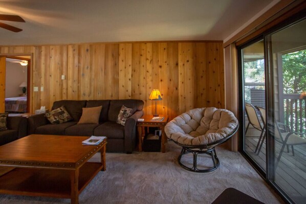 TV, fireplace, DVD player, video library