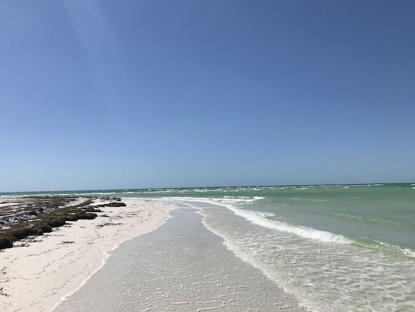 Enjoy a serene beach experience with gentle waves lapping at the shore.