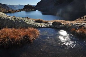 Imagen sin descripción, 3 de 29, botón