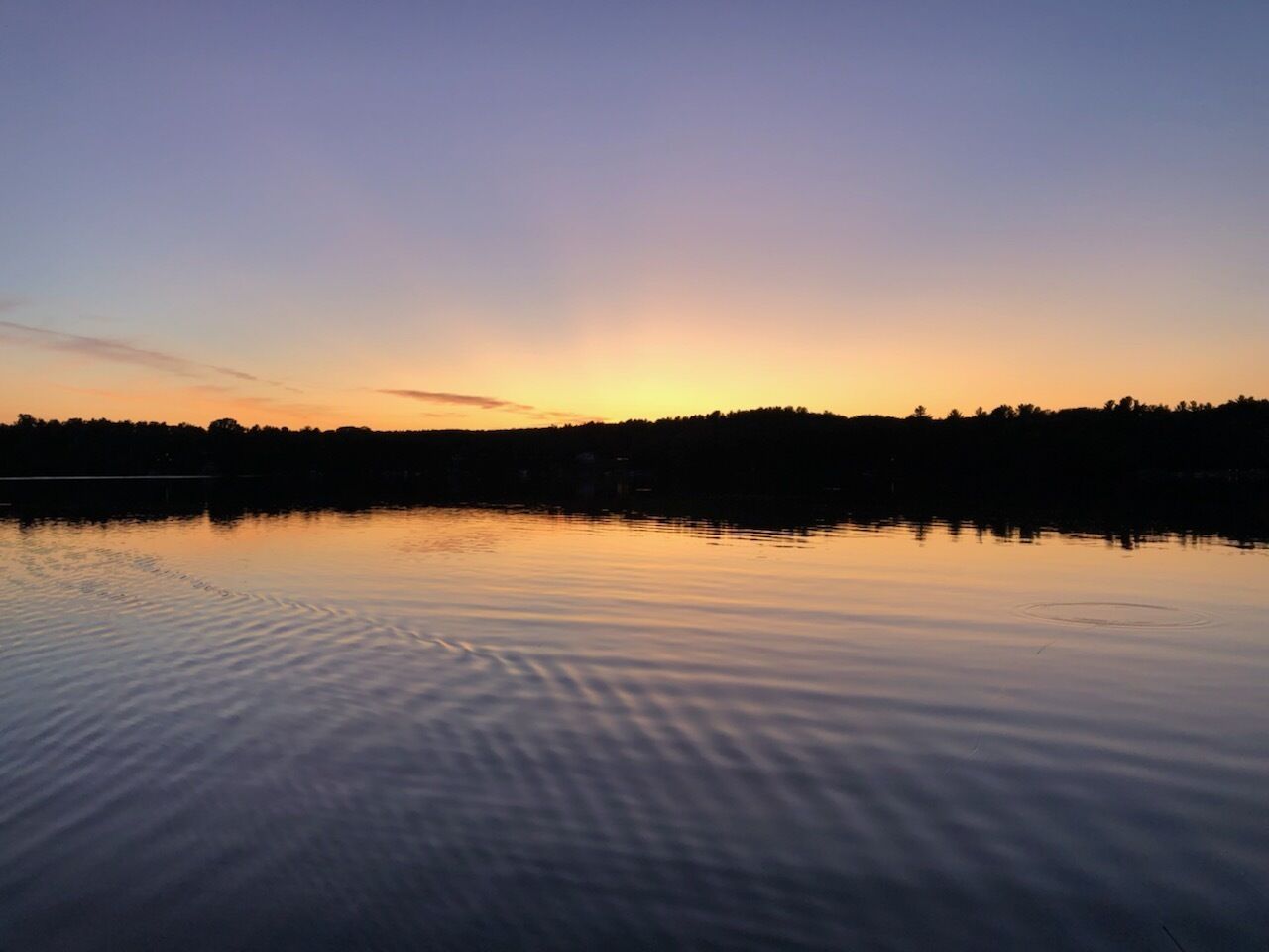 A calm lake at sunset with a silhouette of trees and a clear sky.