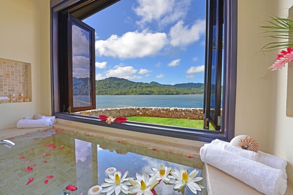 3 bedrooms, free WiFi - WHOLE PRIVATE ISLAND AND LUXURY VILLA (Savusavu)