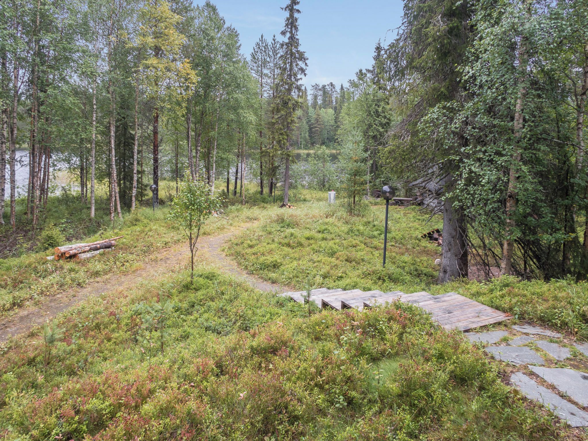 A forested area with a wooden pathway leading to a dock over a body of water.