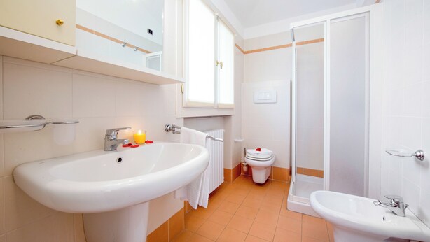 Une salle de bain avec un lavabo, des toilettes et une douche.