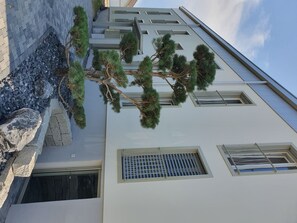 Detalle del exterior