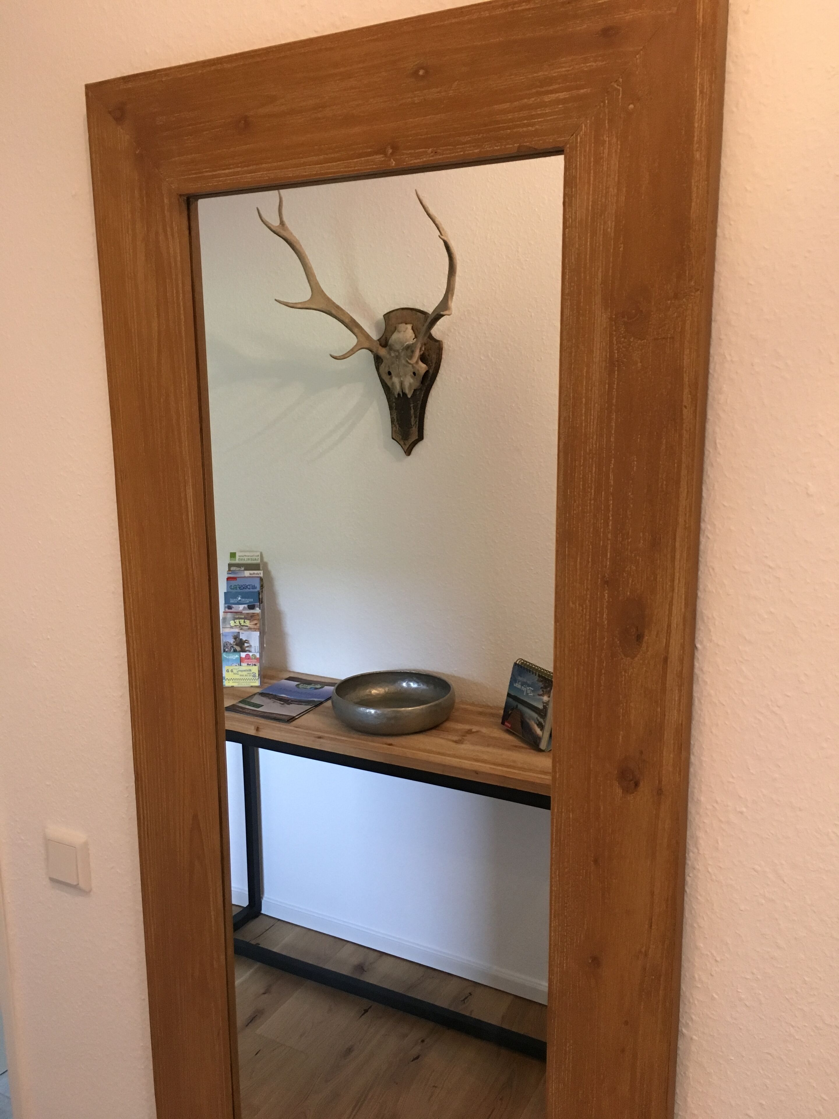 A wooden-framed mirror with a deer skull mounted on the wall.