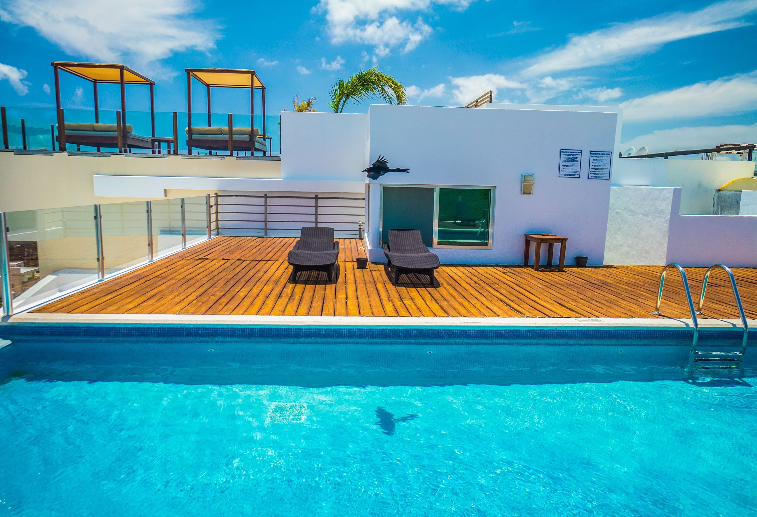 Outdoor pool, a rooftop pool, pool umbrellas, sun loungers