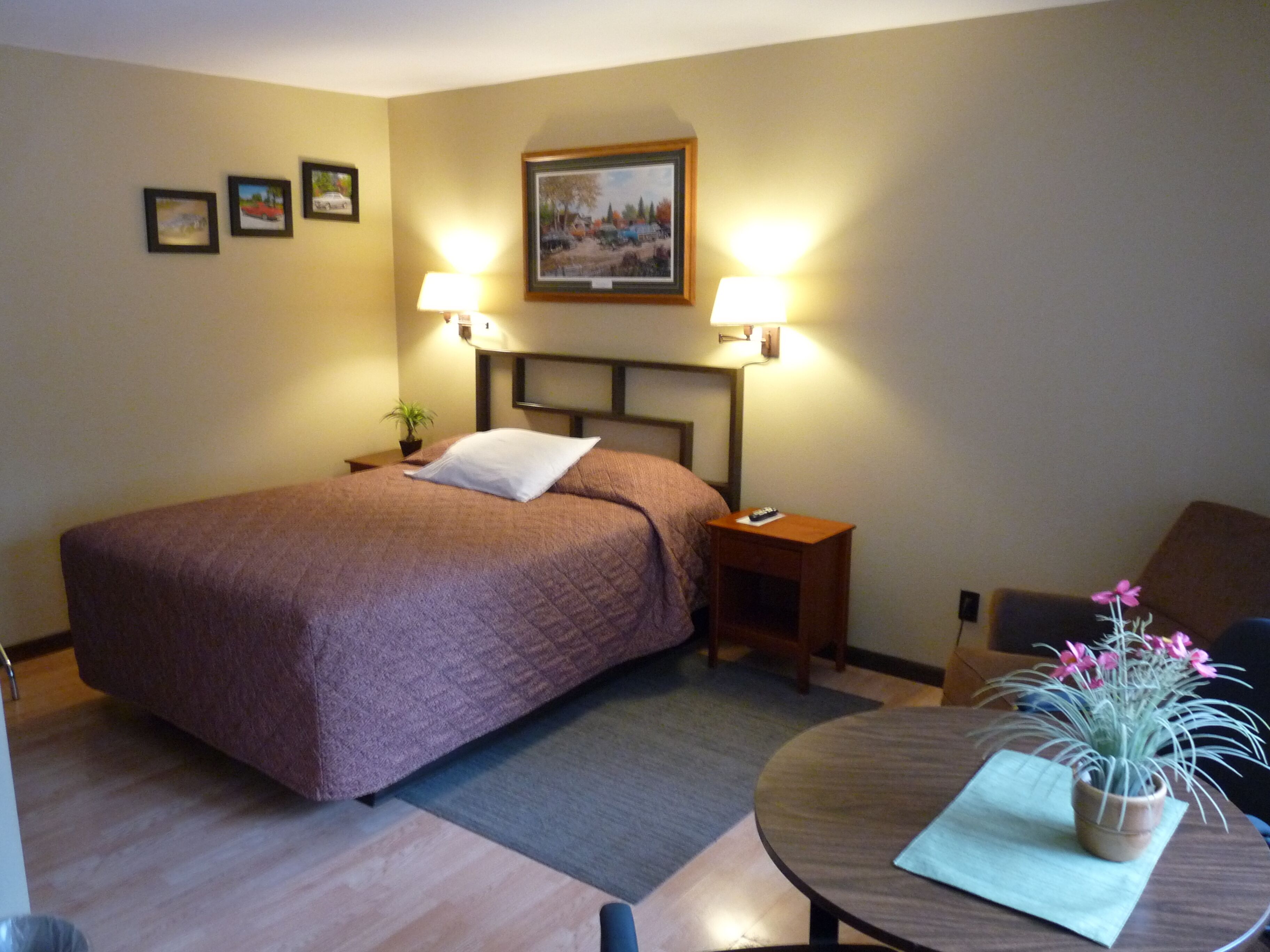 Habitación de hotel con una cama, dos lámparas de noche, un cuadro en la pared, una mesita con una planta en maceta y una silla.