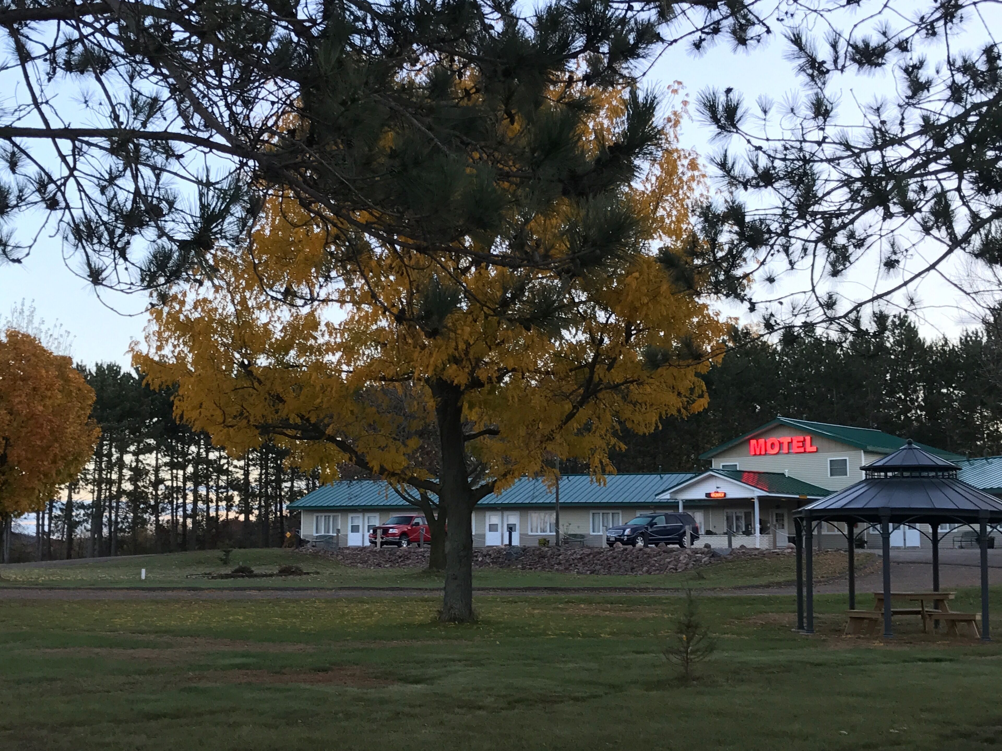 A motel with a green roof and a red sign. There is a large tree with yellow leaves in the foreground.