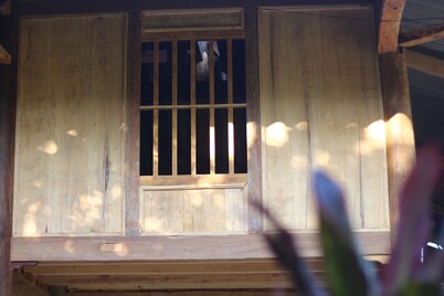 Muong Lo Corner - Beds and Cuisine of Tai ethnic