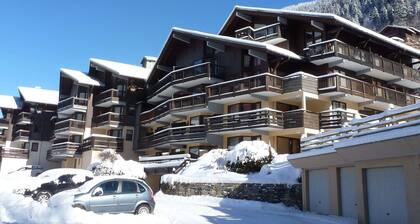 Charmant T2 de 40m² pour 7 pers. à Arêches, terrasse, proche pistes et commerces, classé 2 étoiles