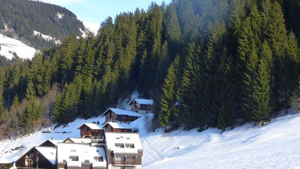 A snow-covered mountain area with several wooden cabins and a ski slope.