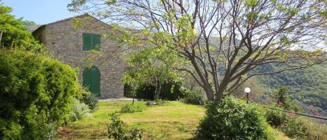 A stone building with a green door and windows, surrounded by lush greenery and a tree.