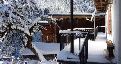 Spacious apartment in traditional chalet with balcony for 5 pers. in ArĂȘches-Beaufort