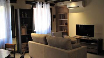 TV, fireplace, books