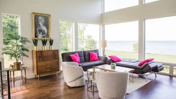 TV connectée, cheminée, lecteur de DVD, livres