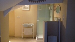 Une salle de bain avec une douche à parois de verre, un porte-serviettes blanc et un miroir au mur.