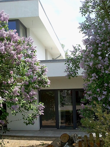 Pension on the Elbe bridge - Apartment New Venice