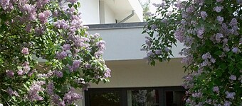 Pension on the Elbe bridge - Apartment New Venice