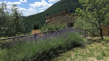 Área da propriedade