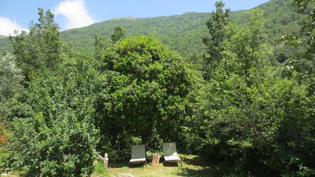A natural setting with two lounge chairs in a forested area, surrounded by dense greenery and hills in the background.