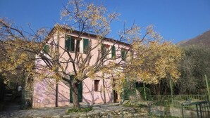A pink building with a tree in front, stone pathway, and green fence.
