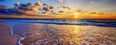 Entire Home - Pet Friendly - Close to Beach - 2 Guests
